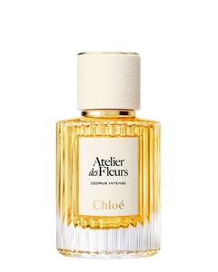 Chloe Cedrus Intense
